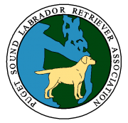 Breed Standard | Puget Sound Labrador Retriever Association